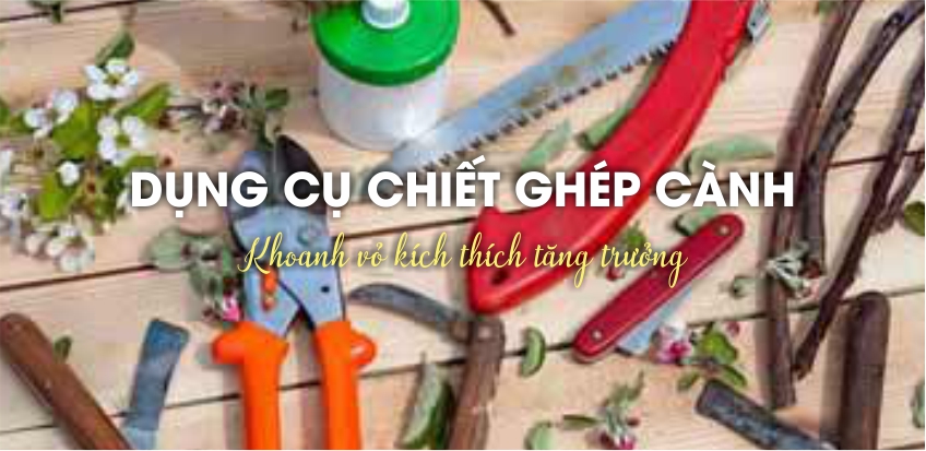 banner dụng cụ chiết ghép cành