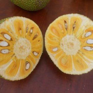 Mít nghệ tứ quý 3