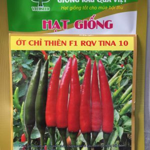 Hạt giống ớt chỉ thiên f1