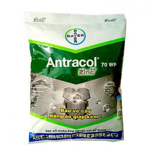 Thuốc trừ bệnh Antracol