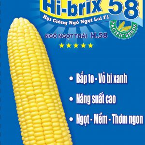 Hạt giống ngô ngọt lai f1 Hi-Brix 58 - Ngô ngọt thái H.58