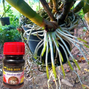 Phân bón lá đa trung lượng Org-Hum