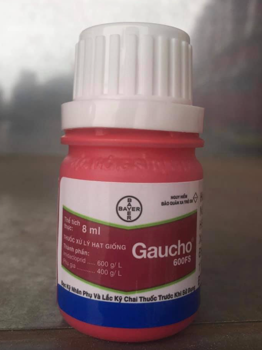 Gaucho 600 FS