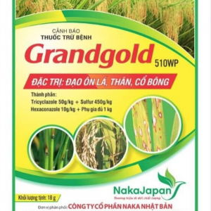 Grandgold 510 WP