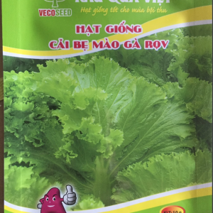 Hạt giống cải bẹ mào gà