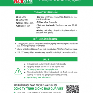 Hạt giống cải ngọt cọng xanh