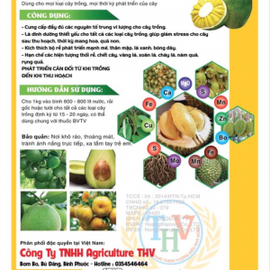 THV siêu vi lượng